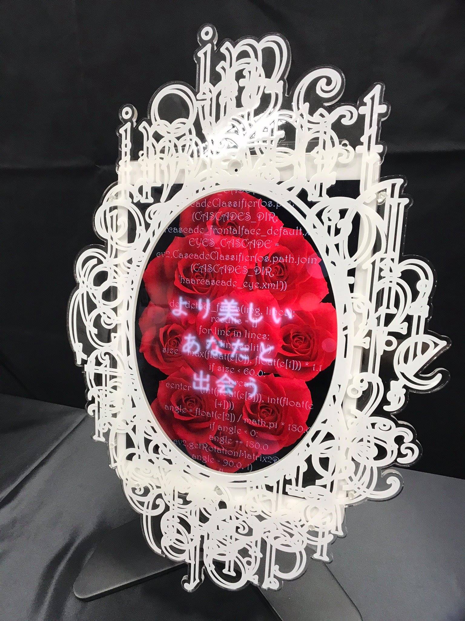 東京大学五月祭 — 魅力工学「MIRYOKU MIRROR」展示